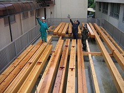 s-070615 (8).jpg