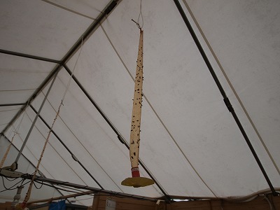 s-110829 (3).jpg
