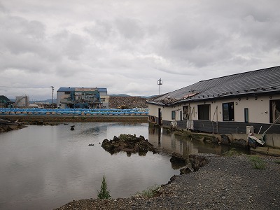 s-110829 (5).jpg