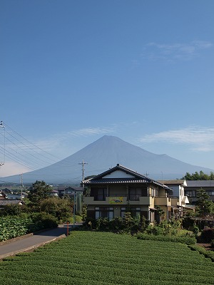 s-110908 (5).jpg