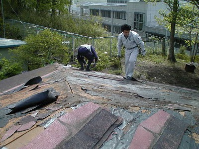 s-111110 (1).jpg