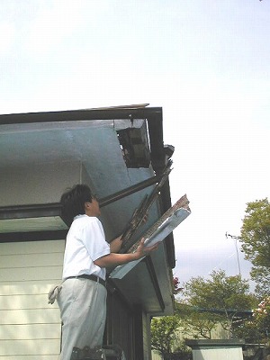 s-111110 (5).jpg
