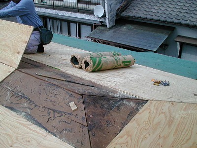 s-111110 (6).jpg