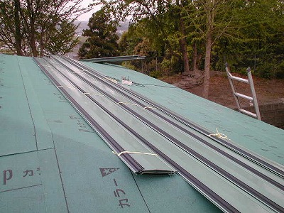 s-111110 (7).jpg
