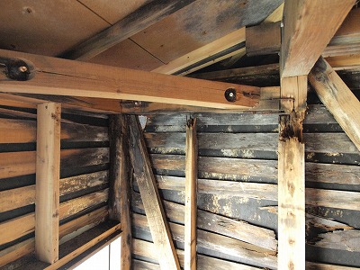 s-111111 (3).jpg