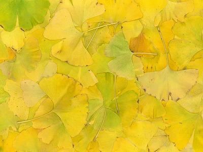 s-111216 (5).jpg