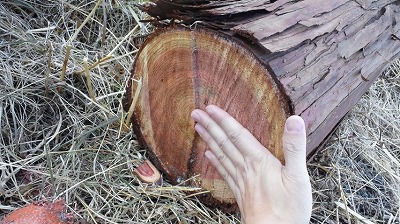 s-120202 (4).jpg