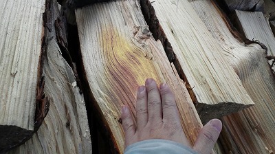 s-120202 (6).jpg