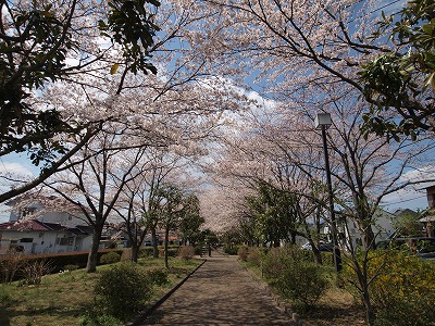 s-120410 (4).jpg