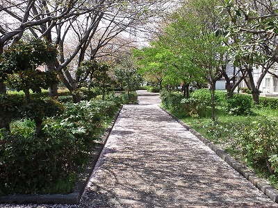 s-120712 (8).jpg