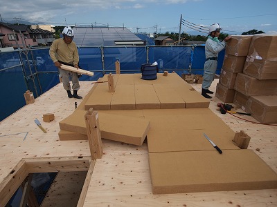 s-120808 (10).jpg
