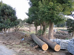 s-080307 (2).jpg