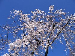 s-080325.jpg
