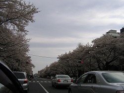 s-080403 (1).jpg
