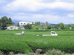 s-080507.jpg