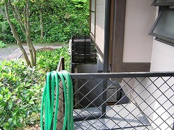 s-080509 (4).jpg
