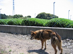 s-080529.jpg