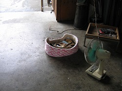 s-080717 (1).jpg