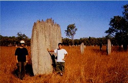 s-080728 (6).jpg
