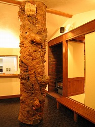 s-080911 (4).jpg