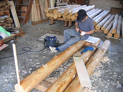 s-080917 (2).jpg