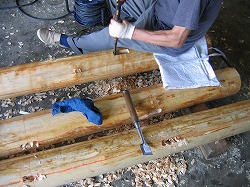 s-080917 (3).jpg