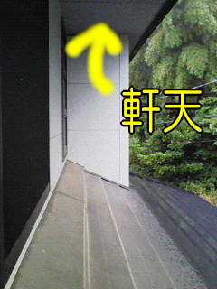 ŷ
