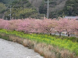 PHOTO126s-.jpg PHOTO126s-.jpg