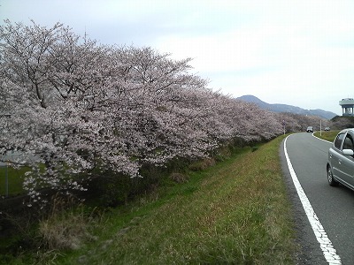 P1000207.jpg