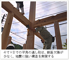 平角スケルトン