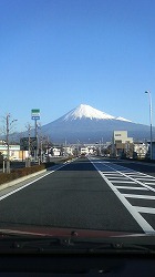 m-200811300817000.jpg