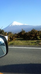 m-200811300820000.jpg