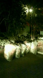m-200812031809000.jpg