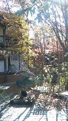 m-200812031240000.jpg