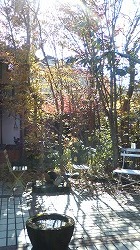m-200812031236000.jpg