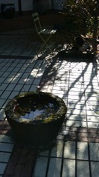 m-200812031239000.jpg