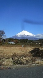 m-200812061159000.jpg
