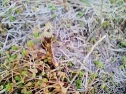 y-090303Ĥ.jpg