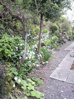 m-P1000188.jpg