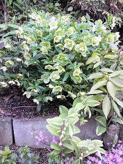 m-P1000189.jpg