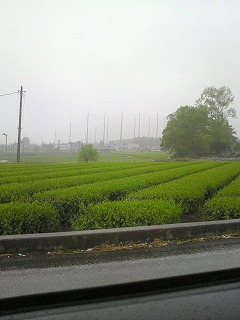 m-֥ 007.jpg