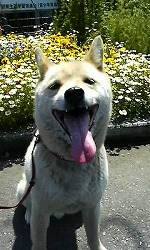 m-֥ 012.jpg