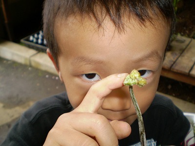 y-090422ӣ.jpg