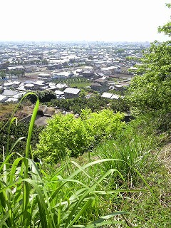 m-P1000213.jpg