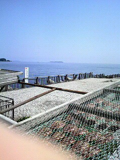 m-P1000309.jpg
