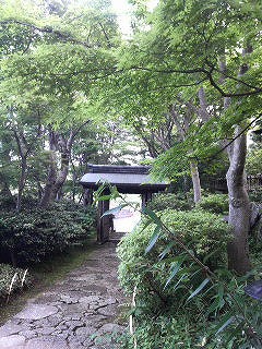 m-P1000297.jpg