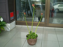 y-090909߲.jpg