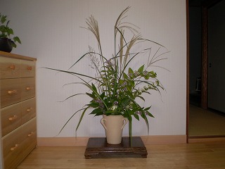 y-091002.jpg