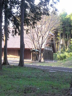 m-֥ 010.jpg