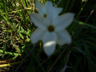 y-100311ȯ.jpg